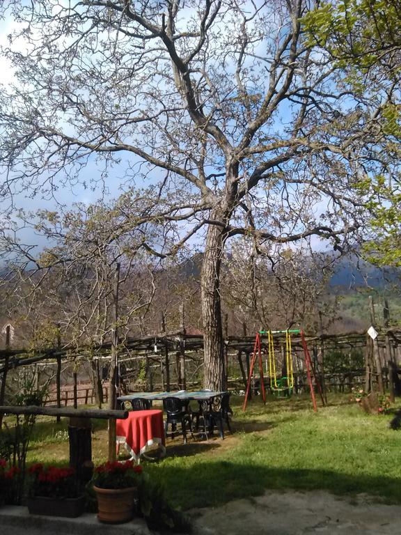Casa Giordano Βίλα Tramonti Δωμάτιο φωτογραφία