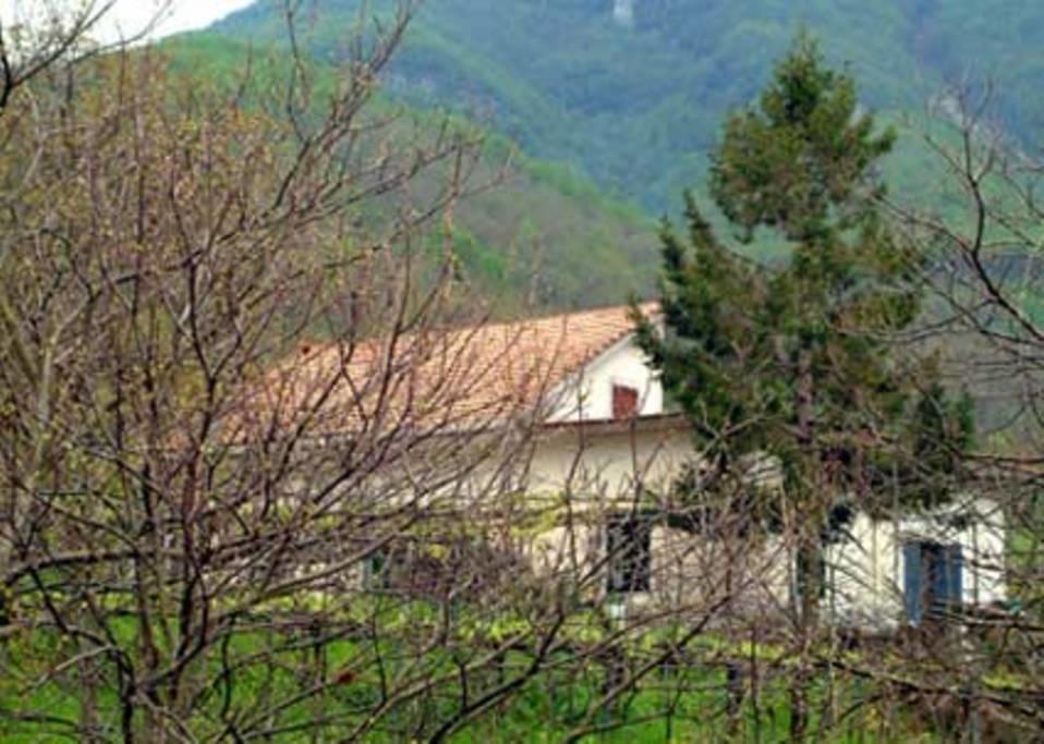 Casa Giordano Βίλα Tramonti Εξωτερικό φωτογραφία